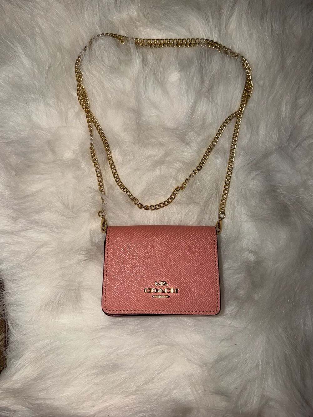 Coach Ombré Leather Mini Wallet on a Chain Crossbody Bag